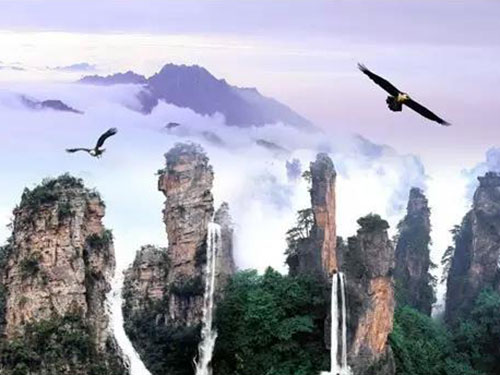 五指山梵淨間原生态食品開發有限公司,豆類食品生産加工銷售