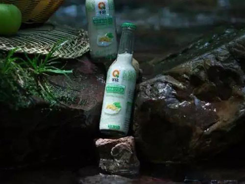 五指山梵淨間原生态食品開發有限公司,豆類食品生産加工銷售